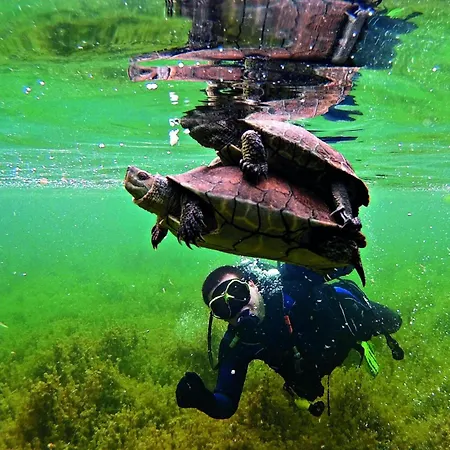 Casa de Férias Tranquila Lagunas De Ruidera Ossa de Montiel